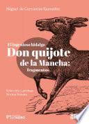 El ingenioso hidalgo don Quijote de la Mancha: