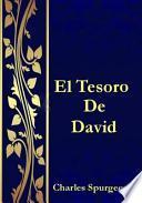 El Tesoro de David