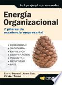 Energía organizacional