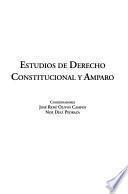 Estudios de derecho constitucional y amparo