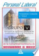 Personal Laboral de la Comunidad Autonoma de Castilla Y Leon. Grupo V.temario Comun Y Test